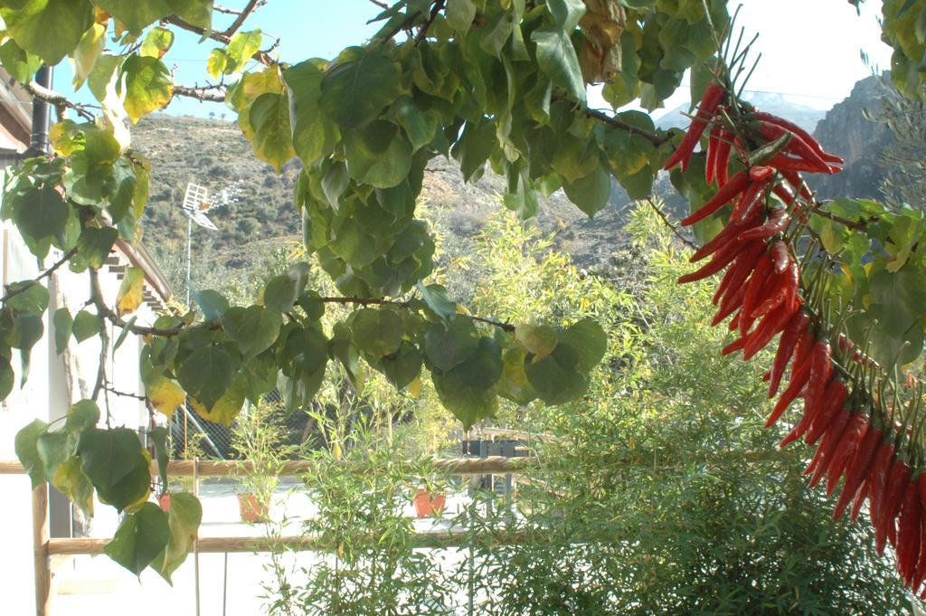 Cortijo Los Cahorros Sierra Nevada Monachil Esterno foto